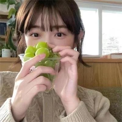 乐园记趣 海报