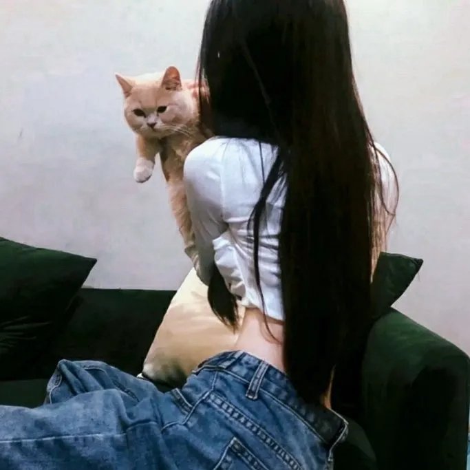 如果蜗牛有爱情 海报